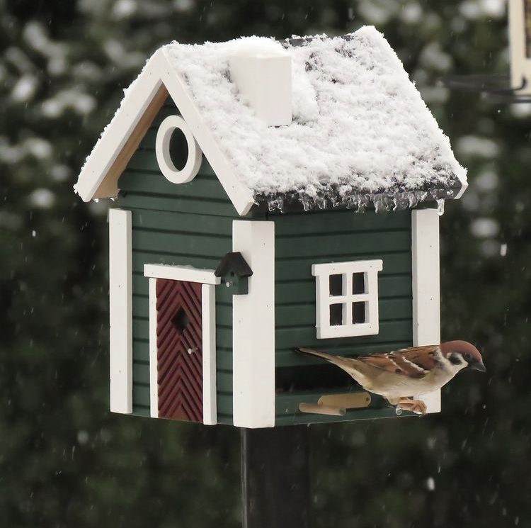 Hiver nichoir pour oiseaux du jardin - JMT Alimentation Animale